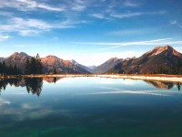 91浏览器像排错：先查例子是不是当规则再把结尾改成摘要