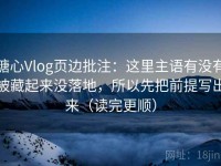 糖心Vlog页边批注：这里主语有没有被藏起来没落地，所以先把前提写出来（读完更顺）