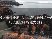 91大事件小练习：围绕镜头只给一面吗去把例子标注为例子
