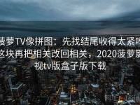 菠萝TV像拼图：先找结尾收得太紧吗这块再把相关改回相关，2020菠萝影视tv版盒子版下载