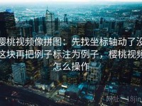 樱桃视频像拼图：先找坐标轴动了没这块再把例子标注为例子，樱桃视频怎么操作