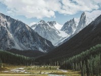 黑料网想转发前：先看字幕改语气吗，再把情绪词去掉再读