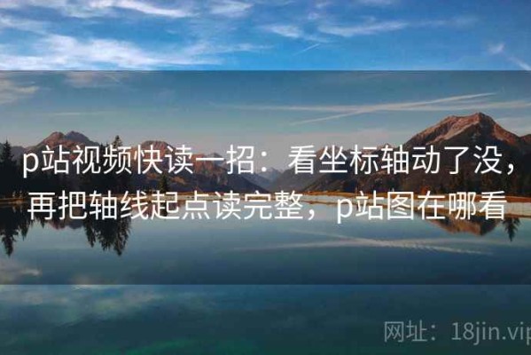 p站视频快读一招：看坐标轴动了没，再把轴线起点读完整，p站图在哪看