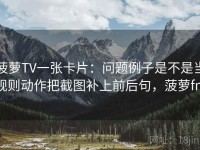 菠萝TV一张卡片：问题例子是不是当规则动作把截图补上前后句，菠萝fm