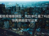蜜桃视频像拼图：先找单位漏了吗这块再把前提写出来
